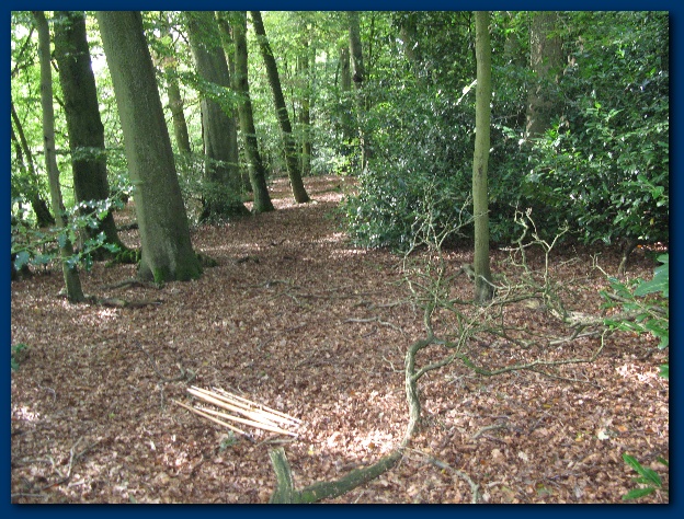 600x449 pixels (212K)